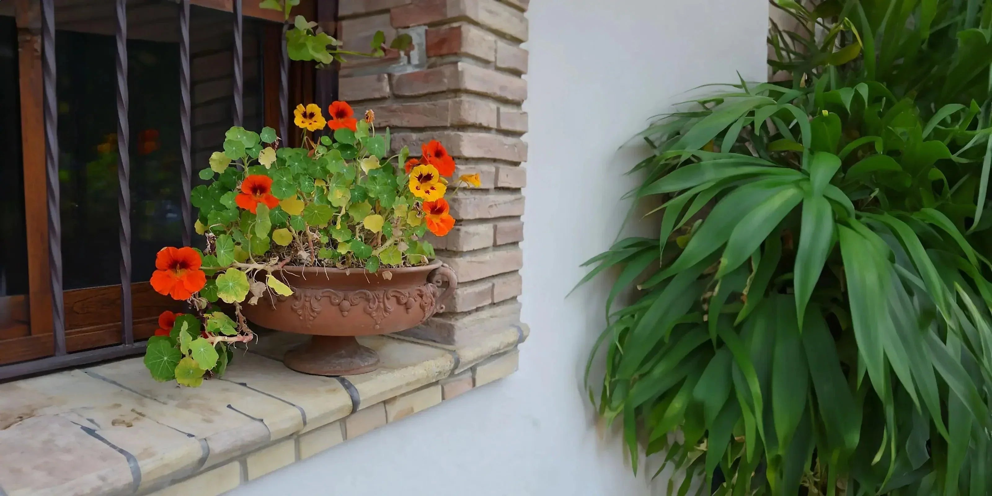 Vaso terracotta ceramiche Caltagirone fatti a mano con fiori arancioni su davanzale